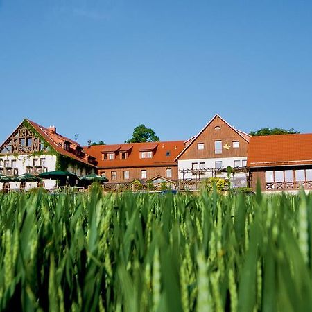 Hotel Neue Hoehe Klingenberg Exterior photo